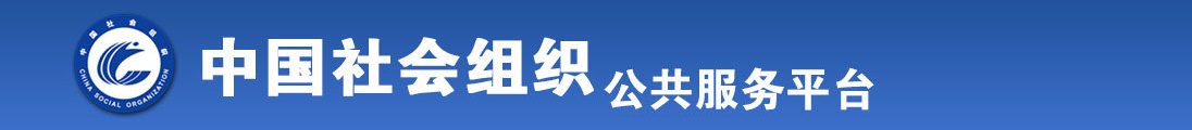 www.大机巴.com全国社会组织信息查询